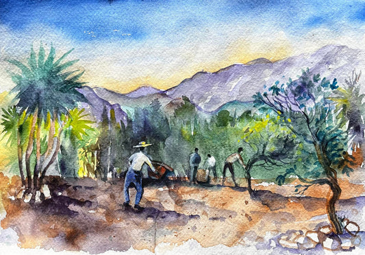 Farmers, Pollensa, Majorca.